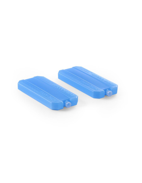 https://hendi.xcdn.nl/large/-/424155_ice_pack.jpg