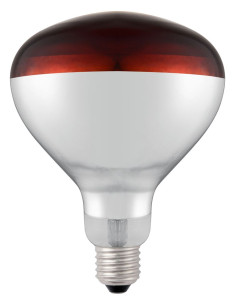 https://hendi.xcdn.nl/large/-/919217_shatterproof_bulb-red_02.jpg
