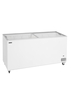 Glassfrys - IC551SC