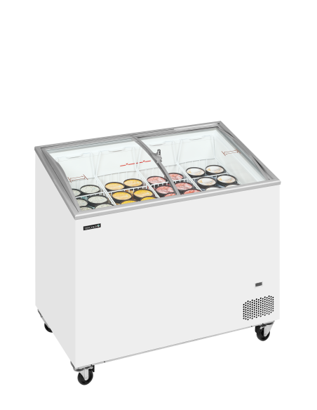 Glassfrys - IC301SCEB