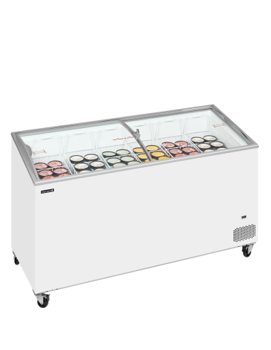 Glassfrys - IC501SCEB
