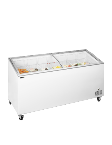 Glassfrys - IC551SCEB