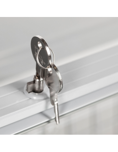 Glassfrys - NIC101CP