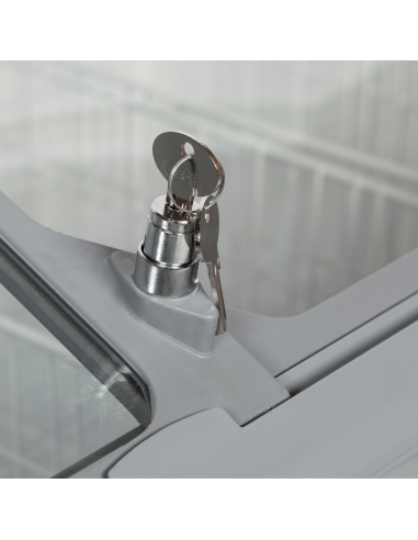 Glassfrys - NIC401SCEB