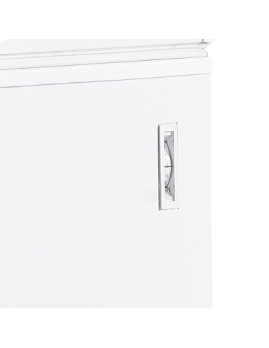 Glassfrys - FR605 SL