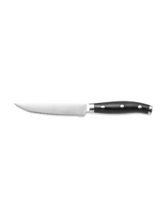 Grill/stekkniv nitad ABS handtag