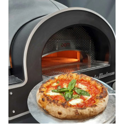 OEM DOME TOUCH pizzaugn